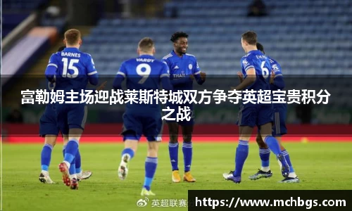 富勒姆主场迎战莱斯特城双方争夺英超宝贵积分之战